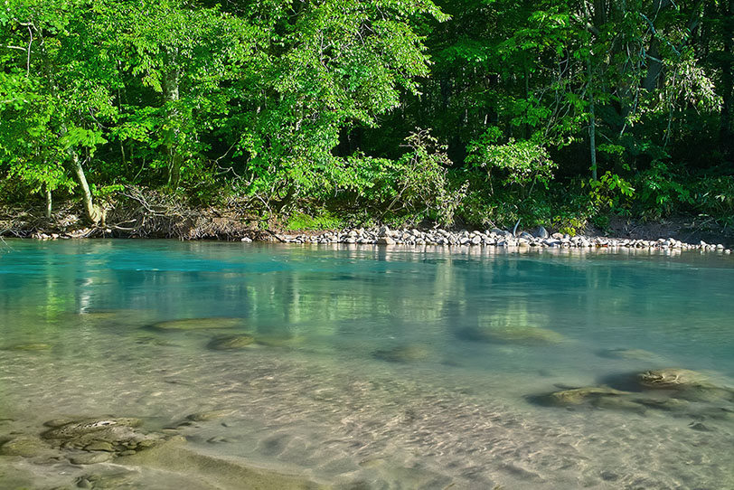 毛穴に関する情報リンク集